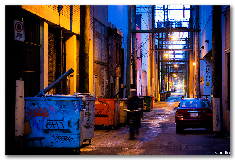 Blue dumpster in alley